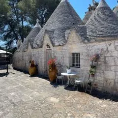 Vista ingrandita