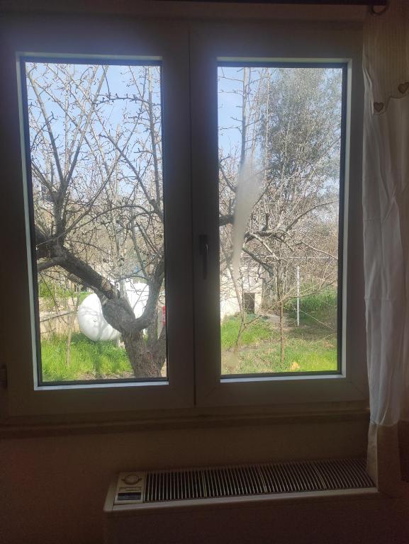 Vista ingrandita