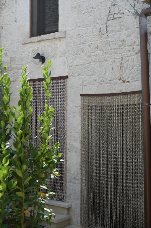 Vista ingrandita