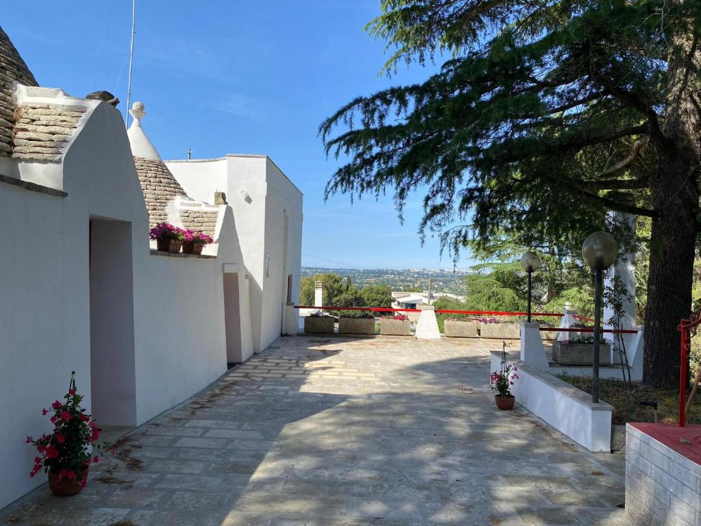 Vista ingrandita