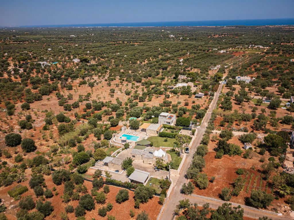 Vista ingrandita