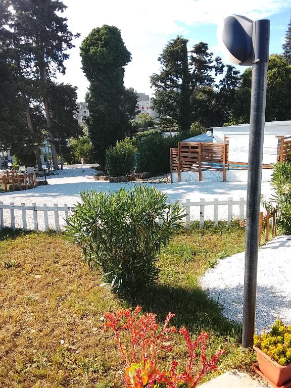 Vista ingrandita