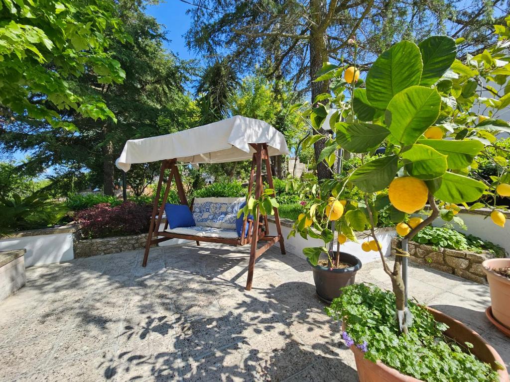 Vista ingrandita