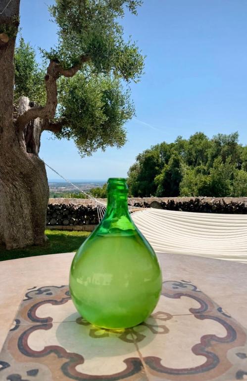 Vista ingrandita