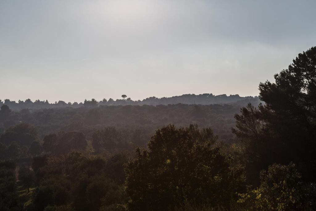 Vista ingrandita