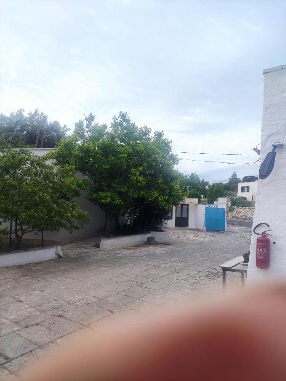 Vista ingrandita