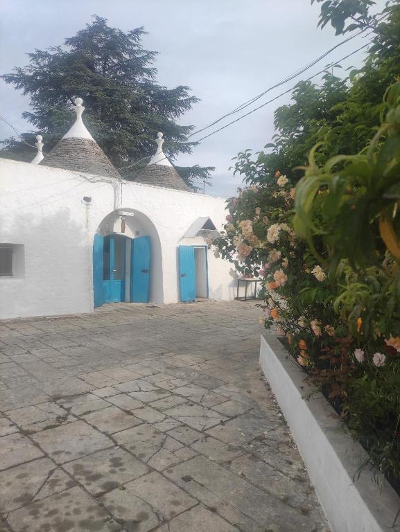 Vista ingrandita