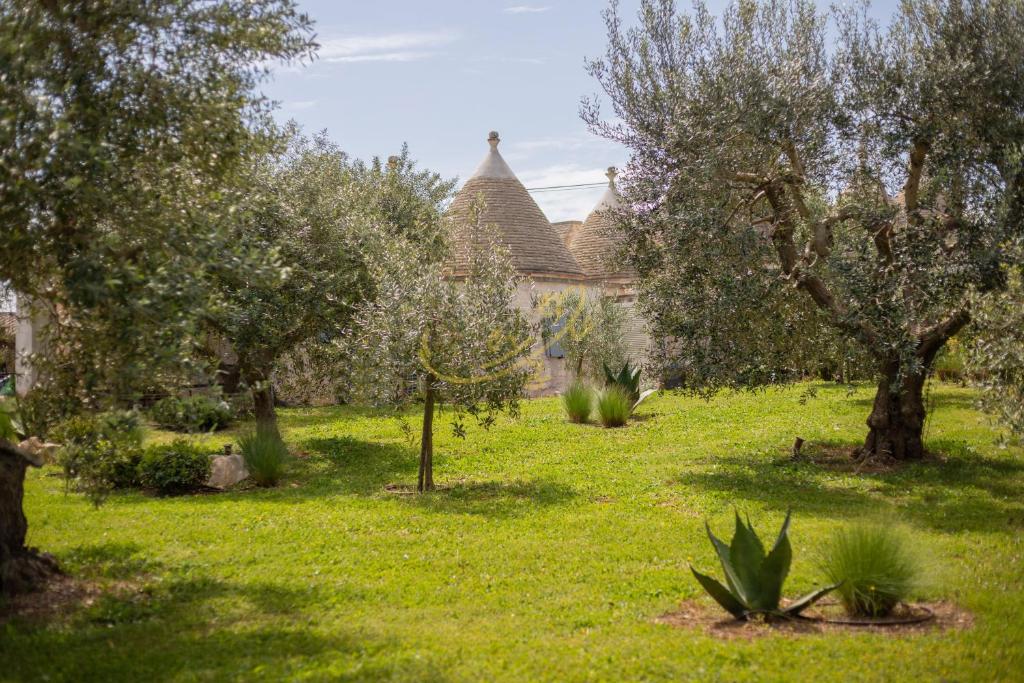 Vista ingrandita