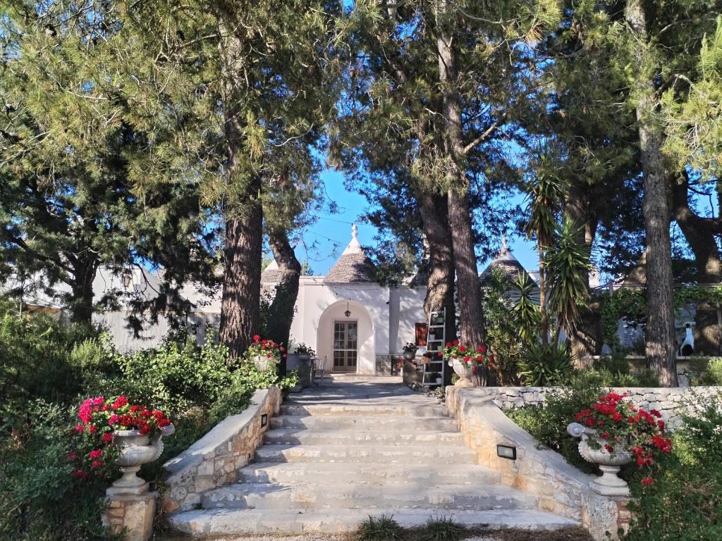 Vista ingrandita