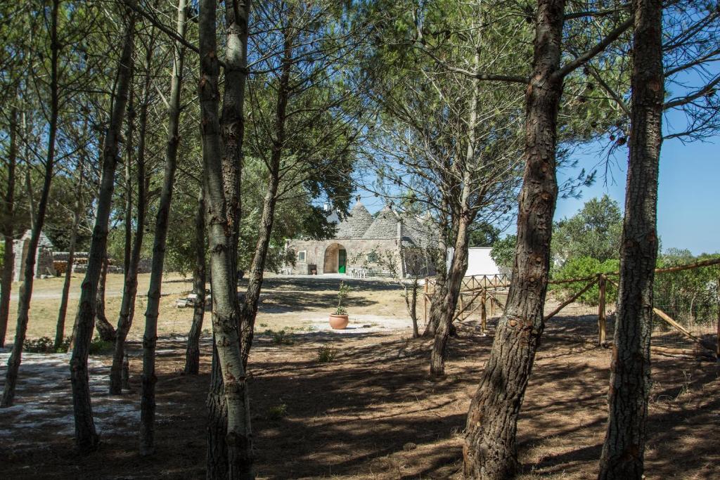 Vista ingrandita