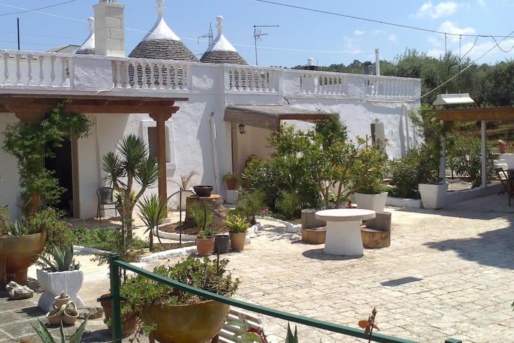 Vista ingrandita