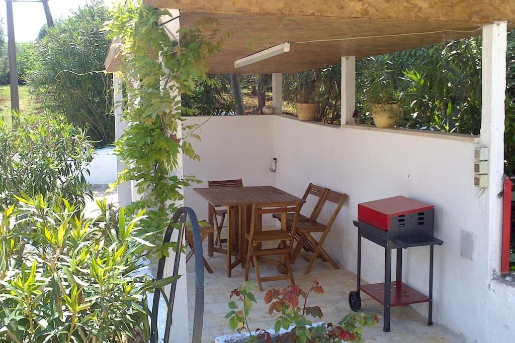 Vista ingrandita