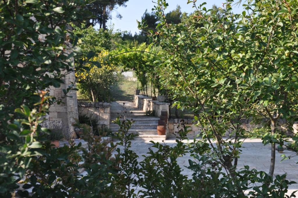 Vista ingrandita
