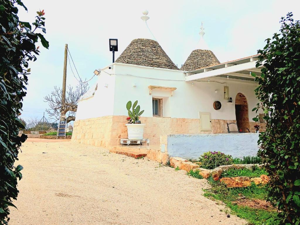 Vista ingrandita
