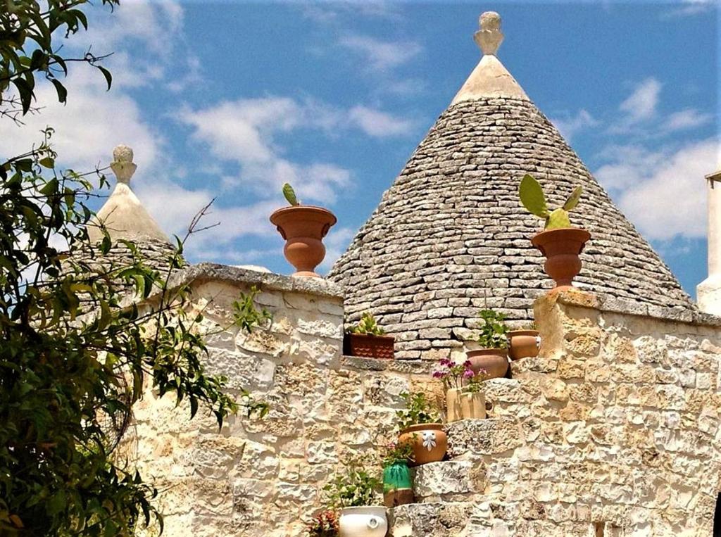 Vista ingrandita