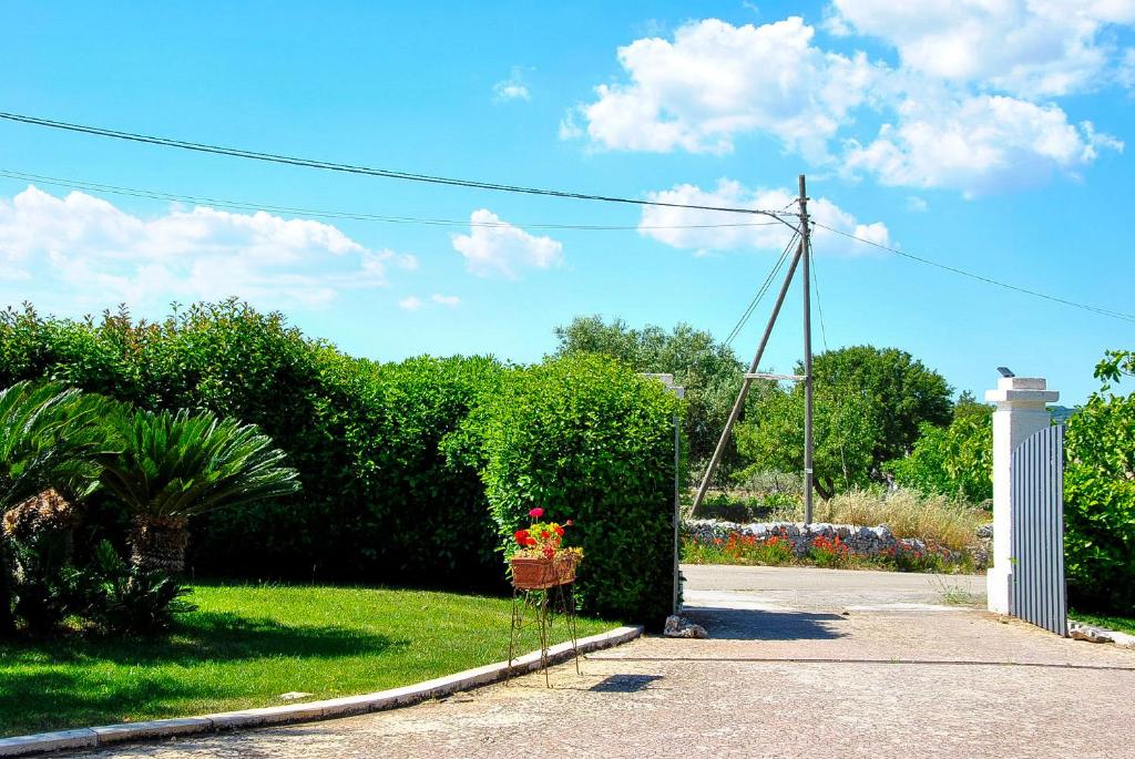 Vista ingrandita