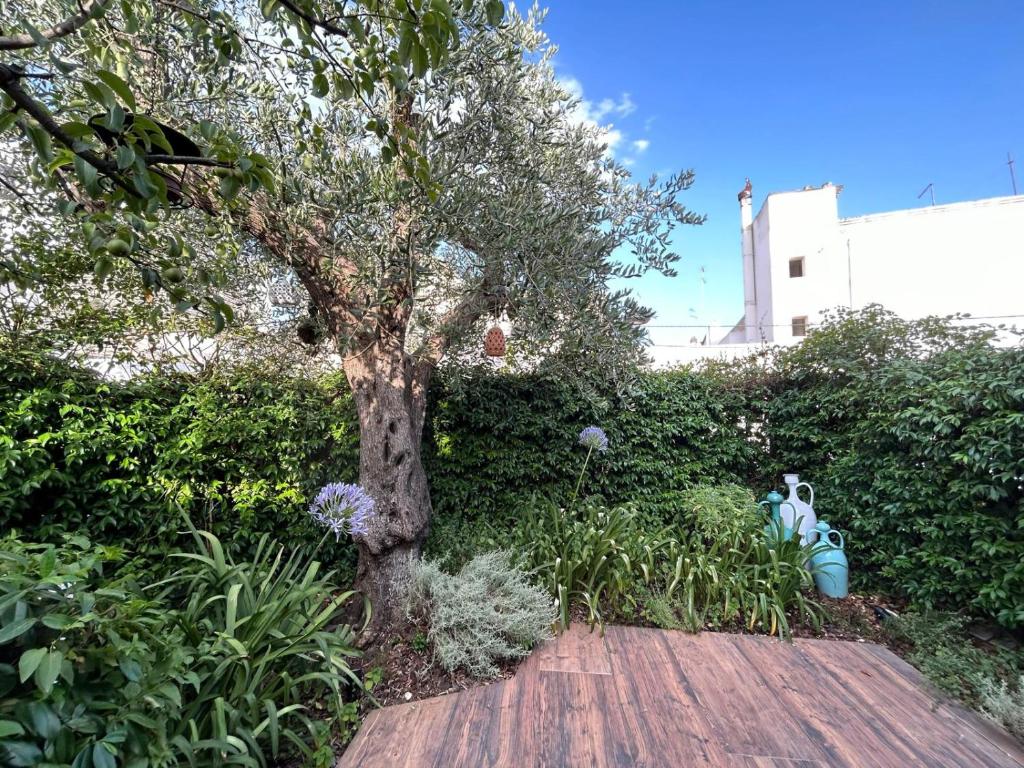 Vista ingrandita