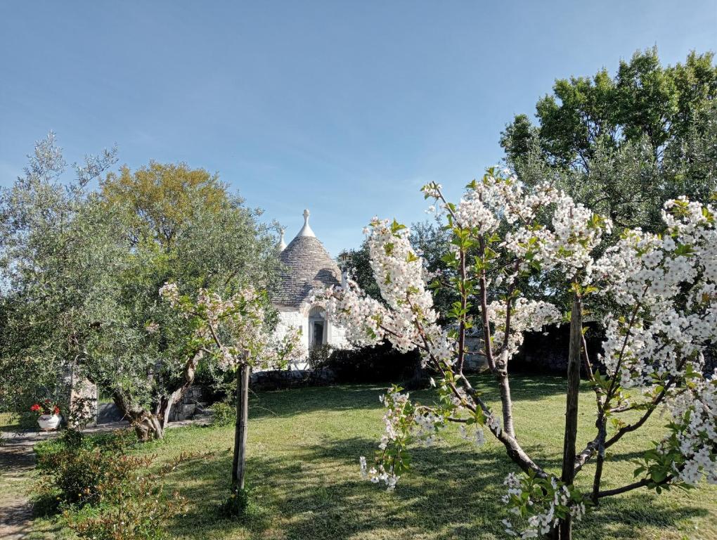 Vista ingrandita