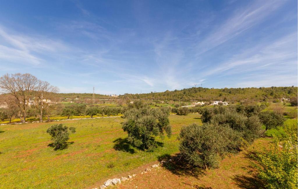 Vista ingrandita