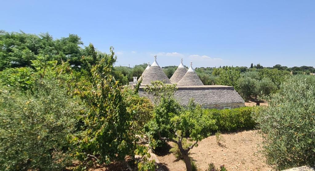 Vista ingrandita