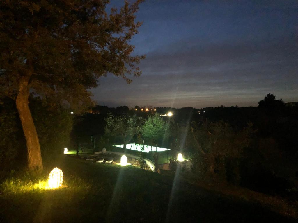 Vista ingrandita