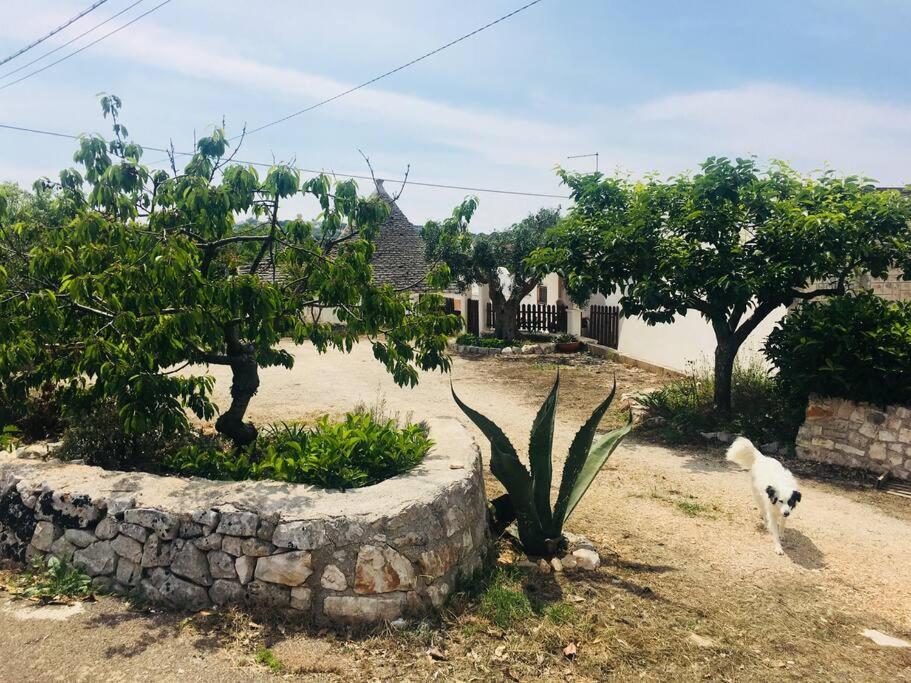 Vista ingrandita
