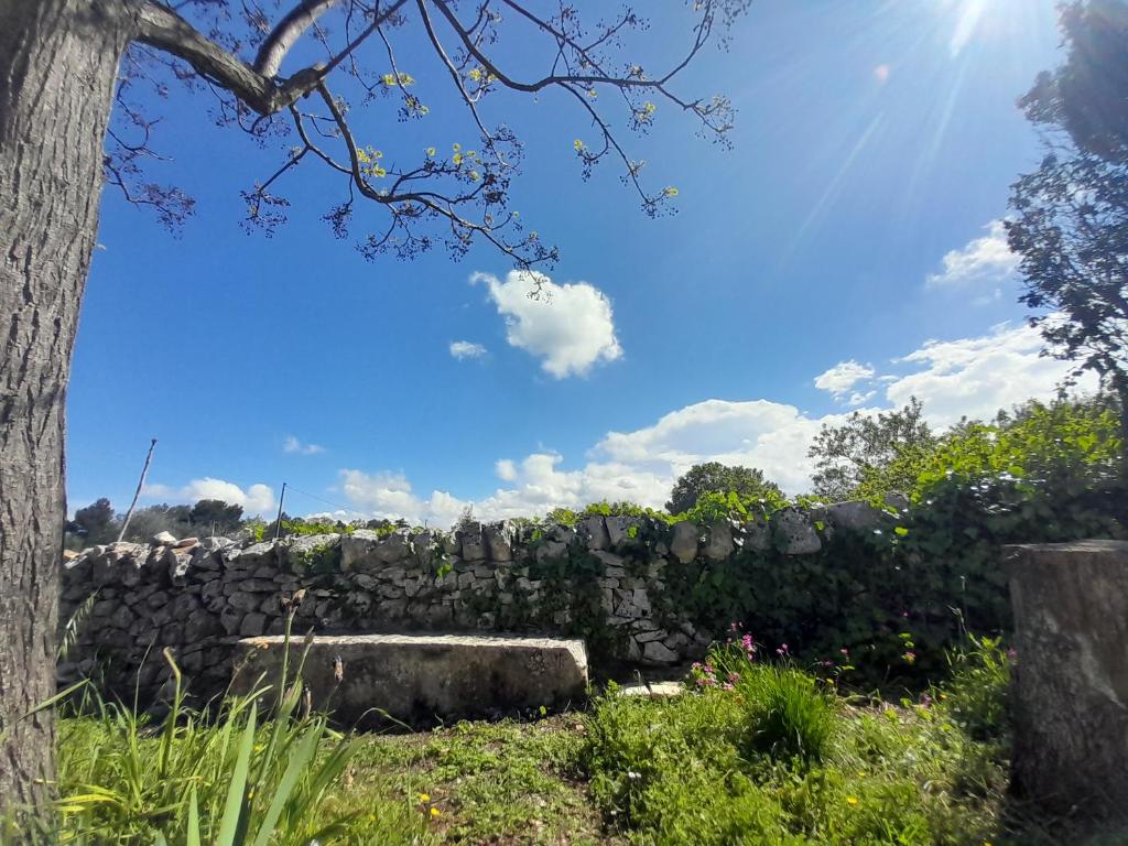 Vista ingrandita