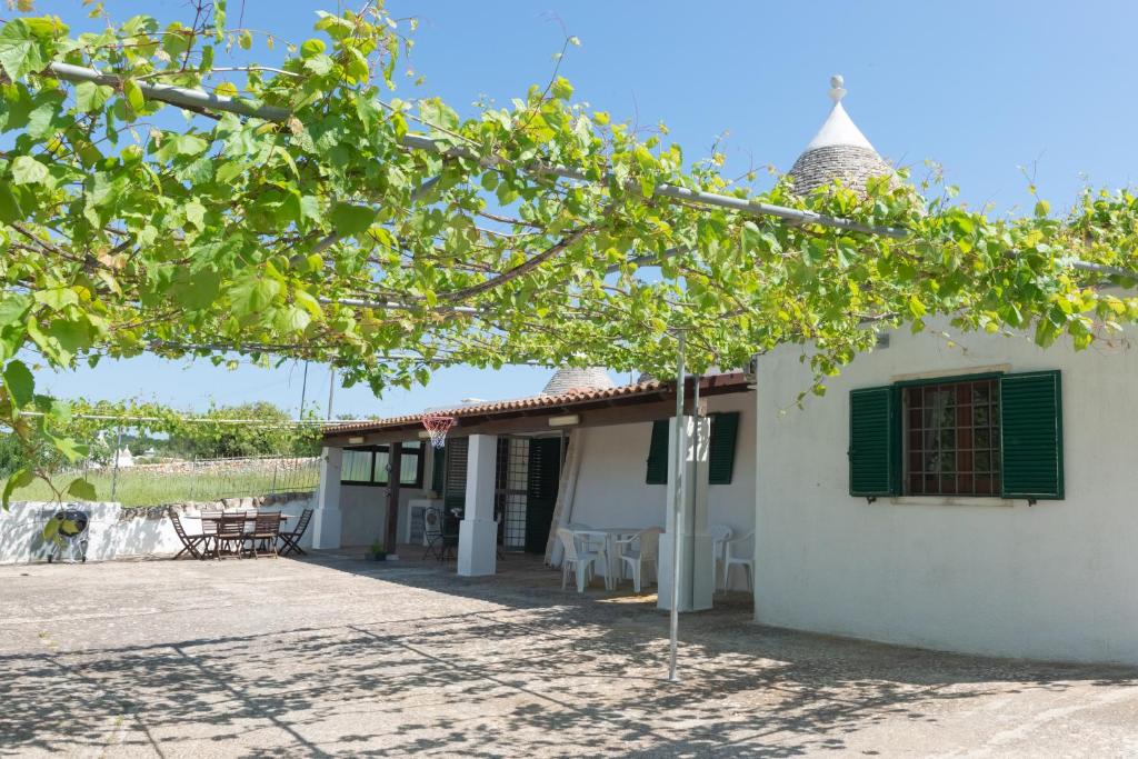 Vista ingrandita