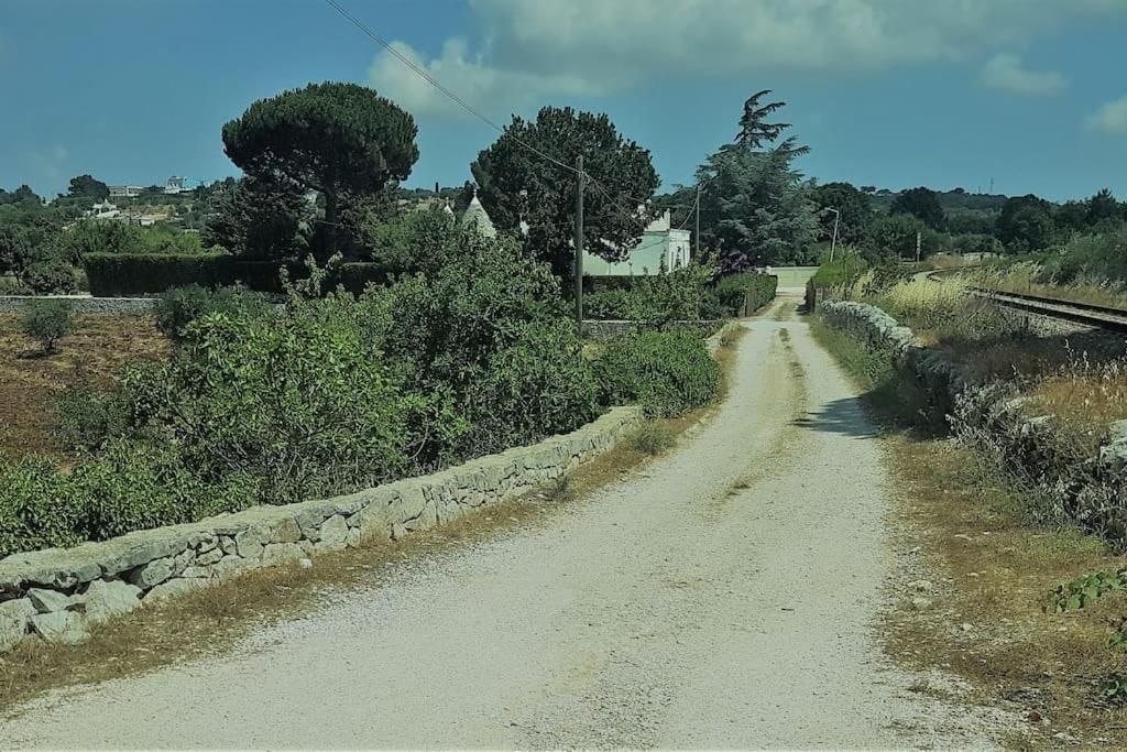 Vista ingrandita