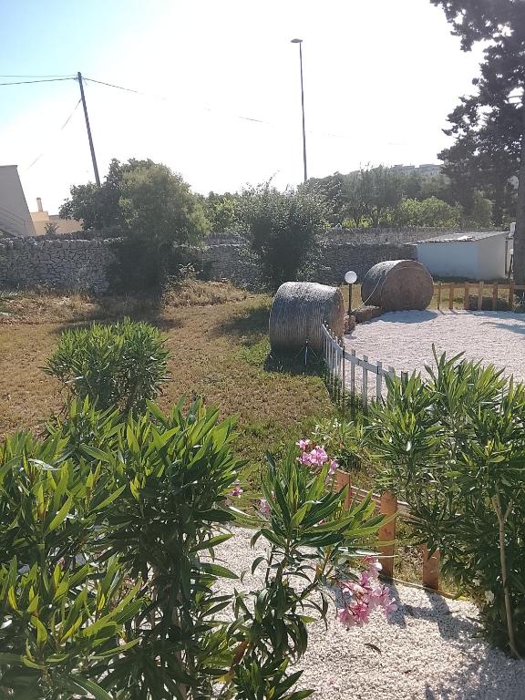 Vista ingrandita