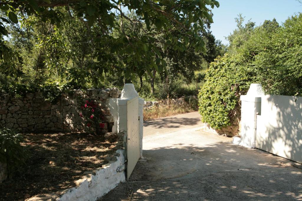 Vista ingrandita