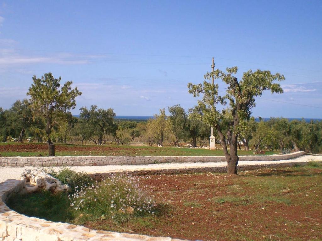 Vista ingrandita