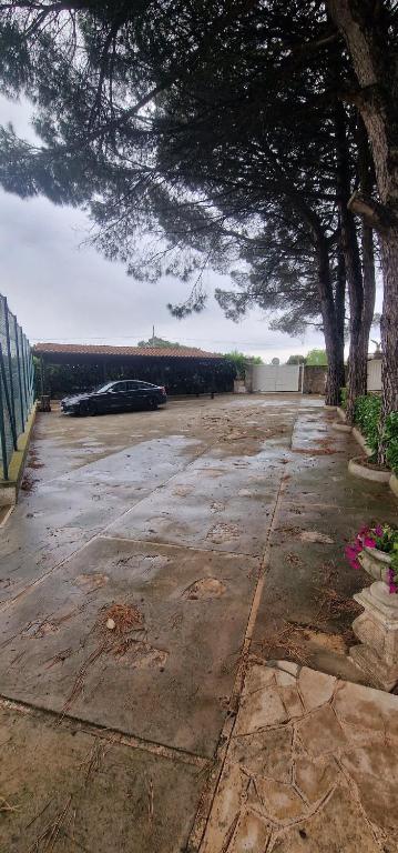 Vista ingrandita